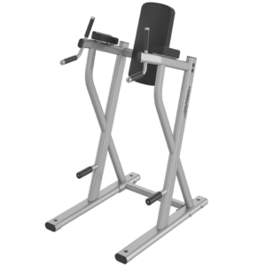 Life Fitness Dip/Leg Raise For Sale