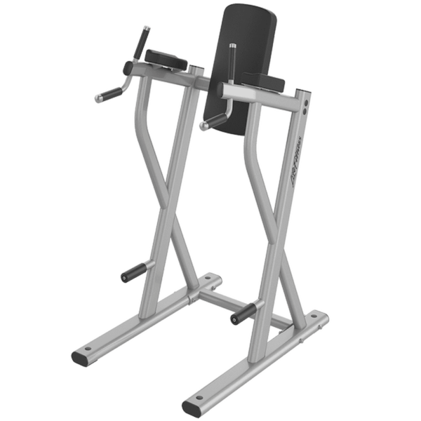 Life Fitness Dip/Leg Raise For Sale