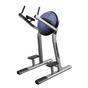 Life Fitness Leg Raise For Sale