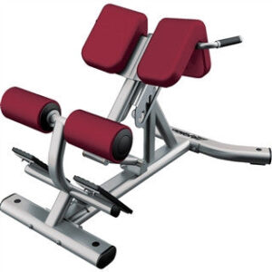 Life Fitness Signature Series Back Extension Sbe For Sale